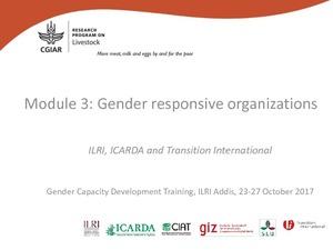 Gender Capacity Development Training Module 3: Gender responsive organizations