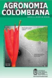 Caracterización parcial de un Potexvirus aislado de Musa coccinea afectada por rayado necrótico en Colombia