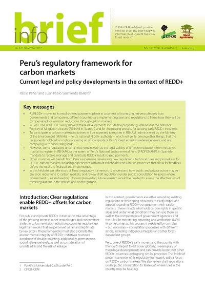 Peru’s regulatory framework for carbon markets: Current legal and policy developments in the context of REDD+