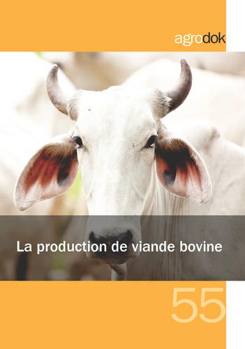 La production de viande bovine