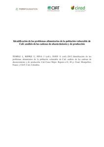 Identificación de los problemas alimentarios de la población vulnerable de Cali: análisis de las cadenas de abastecimiento y de producción