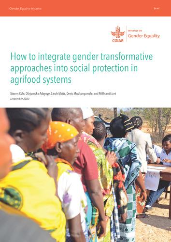 How to integrate gender transformative approaches into social protection in agrifood systems
