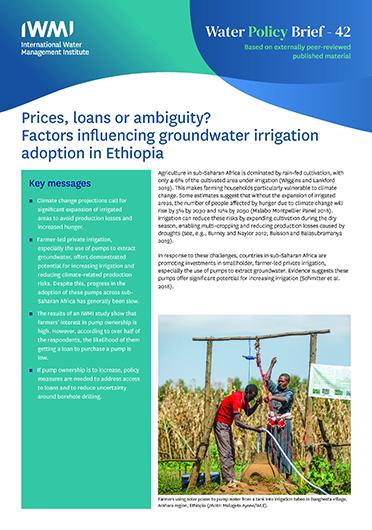 Prices, loans or ambiguity? Factors influencing groundwater irrigation adoption in Ethiopia