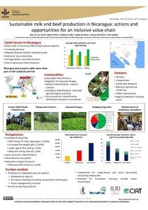 Sustainable milk and beef production in Nicaragua: actions and opportunities for an inclusive value chain