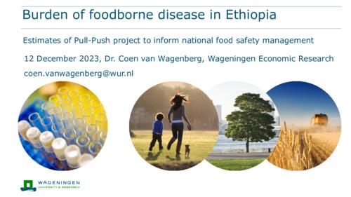 Burden of foodborne disease in Ethiopia: Estimates of Pull-Push project to inform national food safety management