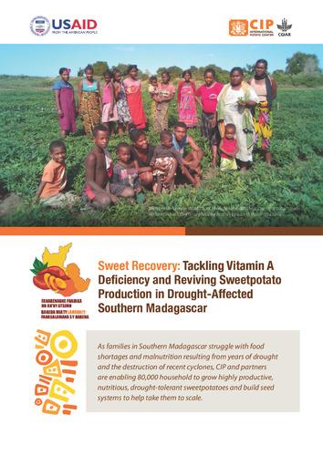 Sweet Recovery: Tackling Vitamin A Deficiency and Reviving Sweetpotato Production in Drought-Affected Southern Madagascar