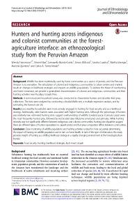 Hunters and hunting across indigenous and colonist communities at the forestagriculture interface: an ethnozoological study from the Peruvian Amazon