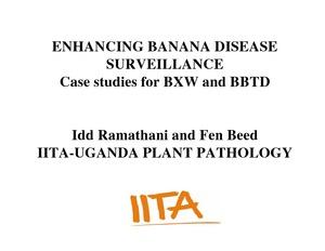 Enhancing banana disease surveillance: case studies for BXW and BBTD