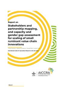Stakeholders and partnership mapping, and capacity and gender gap assessment for scaling of small ruminant value chain innovations