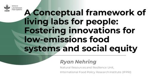A Conceptual framework of living labs for people: Fostering innovations for low-emissions food systems and social equity