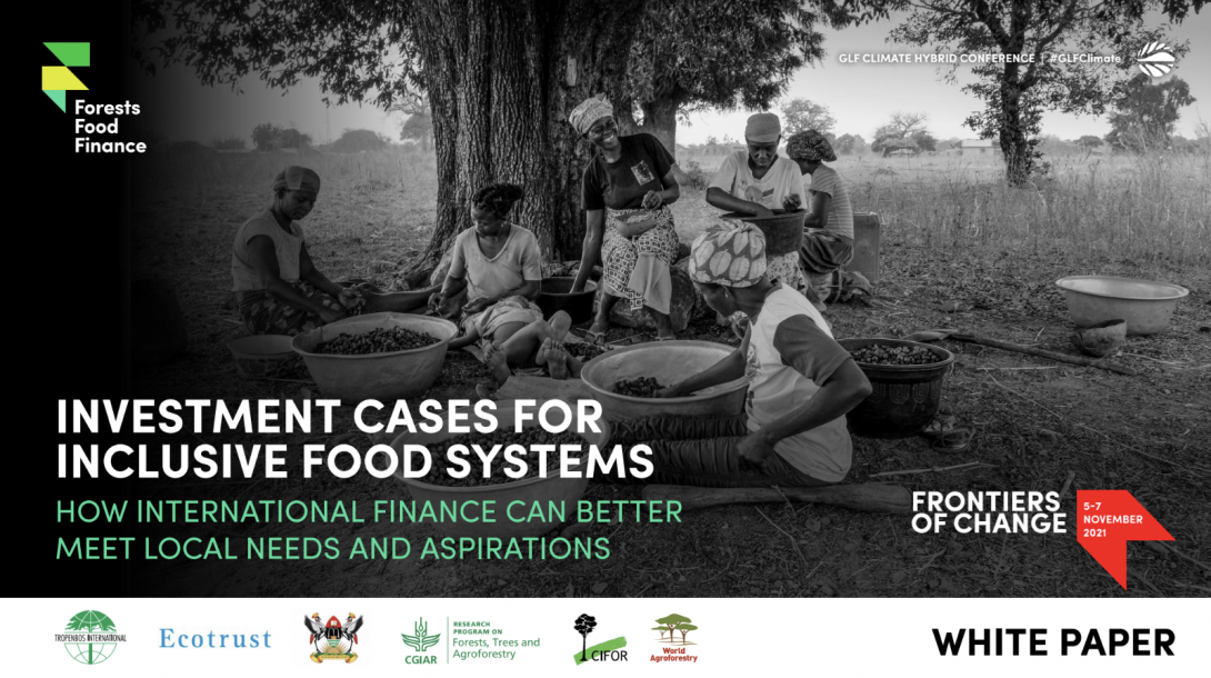 Investment cases for inclusive food systems: How international finance can better meet local needs and aspirations
