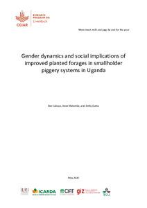 Gender dynamics and social implications of improved planted forages in smallholder piggery systems in Uganda