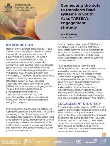 Connecting the dots to transform food systems in South Asia: TAFSSA’s engagement strategy