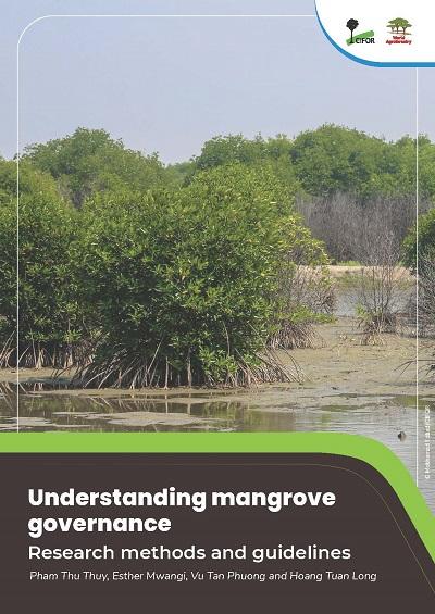 Understanding mangrove governance: Research methods and guidelines