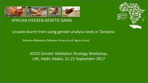 Lessons learnt from using gender analysis tools in Tanzania