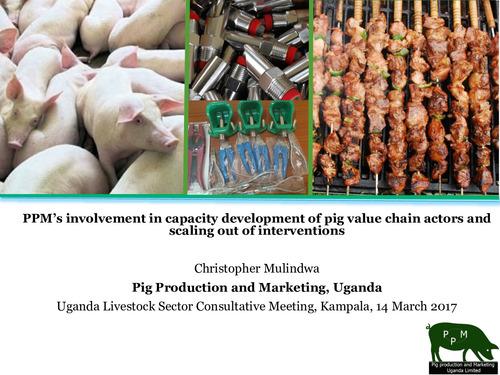 PPM’s (Pig Production and Marketing, Uganda) involvement in capacity development of pig value chain actors and scaling out of interventions