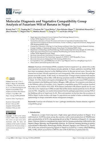 Molecular diagnosis and vegetative compatibility group analysis of Fusarium Wilt of banana in Nepal