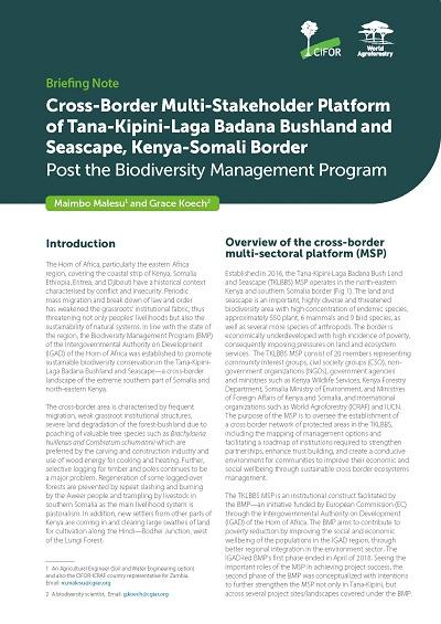 Cross-Border Multi-Stakeholder Platform of Tana-Kipini-Laga Badana Bushland and Seascape, Kenya-Somali Border