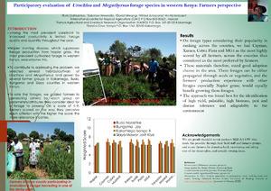 Participatory evaluation of Urochloa and Megathyrsus forage species in western Kenya: Farmers perspective