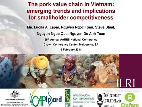 The pork value chain in Vietnam: Emerging trends and implications for smallholder competitiveness