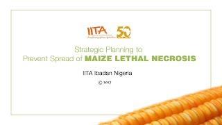 Workshop on maize seed health and seed testing for pests and pathogens - assessment of selected detection methods