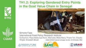 TH1.2: Exploring Gendered Entry Points in the Goat Value Chain in Senegal