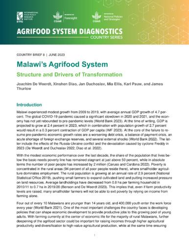 Malawi’s agrifood system structure and drivers of transformation