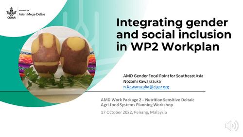 Integrating gender and social inclusion in WP2 Workplan