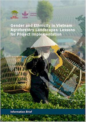 Gender and Ethnicity in Vietnam Agroforestry Landscapes: Lessons for Project Implementation