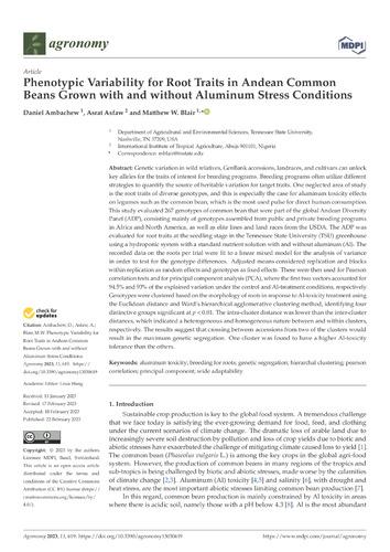 Phenotypic variability for root traits in Andean common beans grown with and without aluminum stress conditions