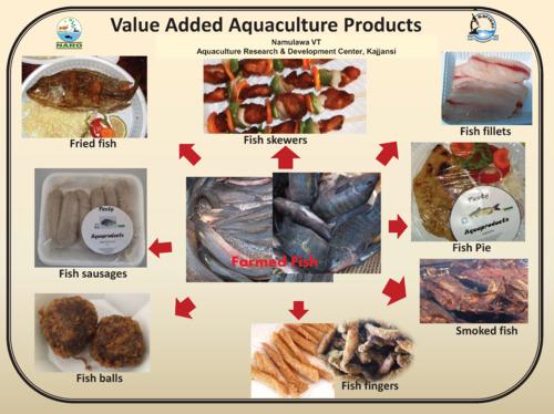 Value added aquaculture products