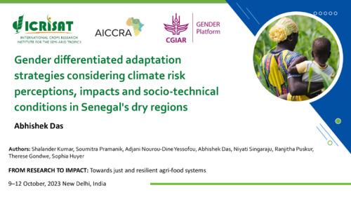 Gender differentiated adaptation strategies considering climate risk perceptions, impacts, and socio-technical conditions in Senegal’s Dry Regions