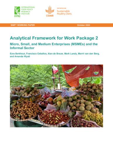 Analytical Framework for Work Package 2: Micro, Small, and Medium Enterprises (MSMEs) and the Informal Sector