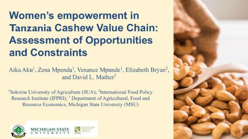 Women’s empowerment in Tanzania Cashew Value Chain: Assessment of Opportunities and Constraints