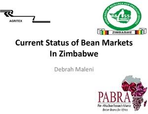 Current Status of Bean Markets In Zimbabwe
