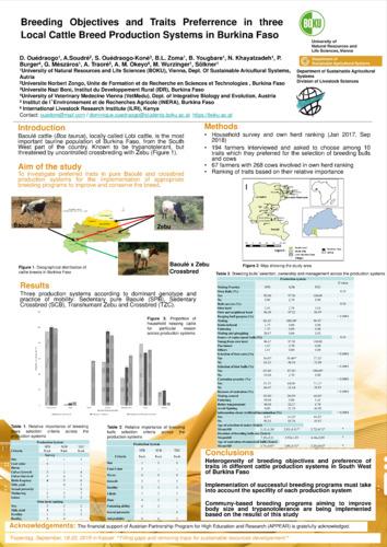 Breeding objectives and practices in three cattle production systems in Burkina Faso