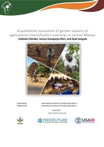 A qualitative evaluation of gender aspects of agricultural intensification practices in central Malawi