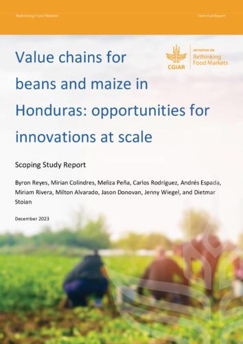 Value chains for beans and maize in Honduras: Opportunities for innovations at scale