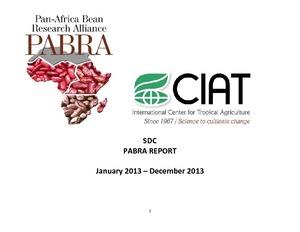 SDC PABRA Report: January 2013 - December 2013