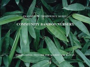 Bamboo nursery (2)