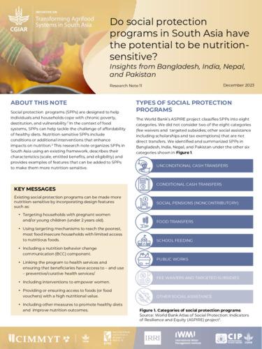 Do social protection programs in South Asia have the potential to be nutrition-sensitive? Insights from Bangladesh, India, Nepal, and Pakistan