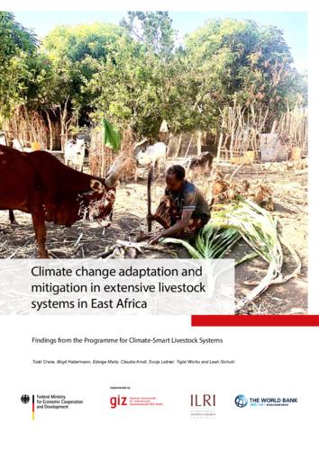 Climate change adaptation and mitigation in extensive livestock systems in East Africa: Findings from the Programme for Climate-Smart Livestock Systems