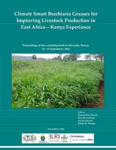 Overview of the climate smart Brachiaria grass programme