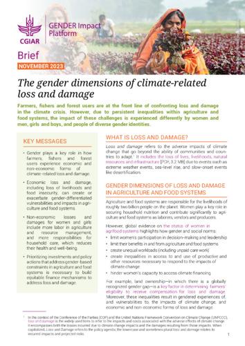 The gender dimensions of climate-related loss and damage