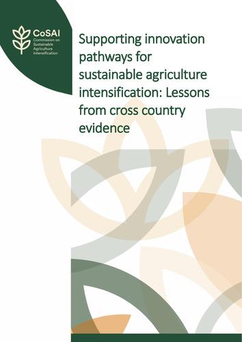 Supporting innovation pathways for sustainable agriculture intensification: Lessons from cross country evidence