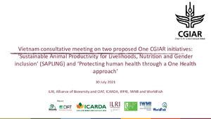 Notes from a Vietnam virtual stakeholder consultation on two proposed One CGIAR initiatives on 'Protecting Human Health through a One Health Approach' and on 'Sustainable Animal Productivity for Livelihoods, Nutrition and Gender inclusion', 30 July 2021