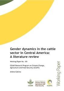 Gender dynamics in the cattle sector in Central America: A literature review