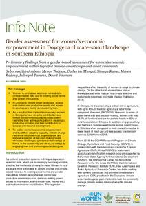 Gender assessment for women’s economic empowerment in Doyogena climate-smart landscape in Southern Ethiopia