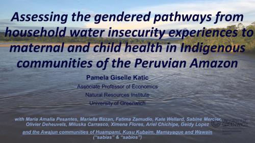 Assessing the gendered pathways from household water insecurity experiences to maternal and child health in Indigenous communities of the Peruvian Amazon