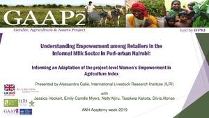 Understanding empowerment among retailers in the informal milk sector in peri-urban Nairobi: Informing an adaptation of the project-level Women’s Empowerment in Agriculture Index